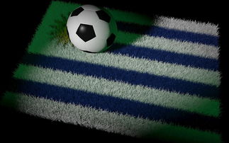 开云体育下载官网-巴西足球队备战世界杯,状态火热,巴西足球 世界杯