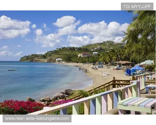 圣基茨和尼维斯青少年体育节火热举办，圣基茨和尼维斯馆