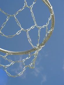 开云下载-篮球运动战术分析软件开发应用,篮球运动战术分析软件开发应用实验报告